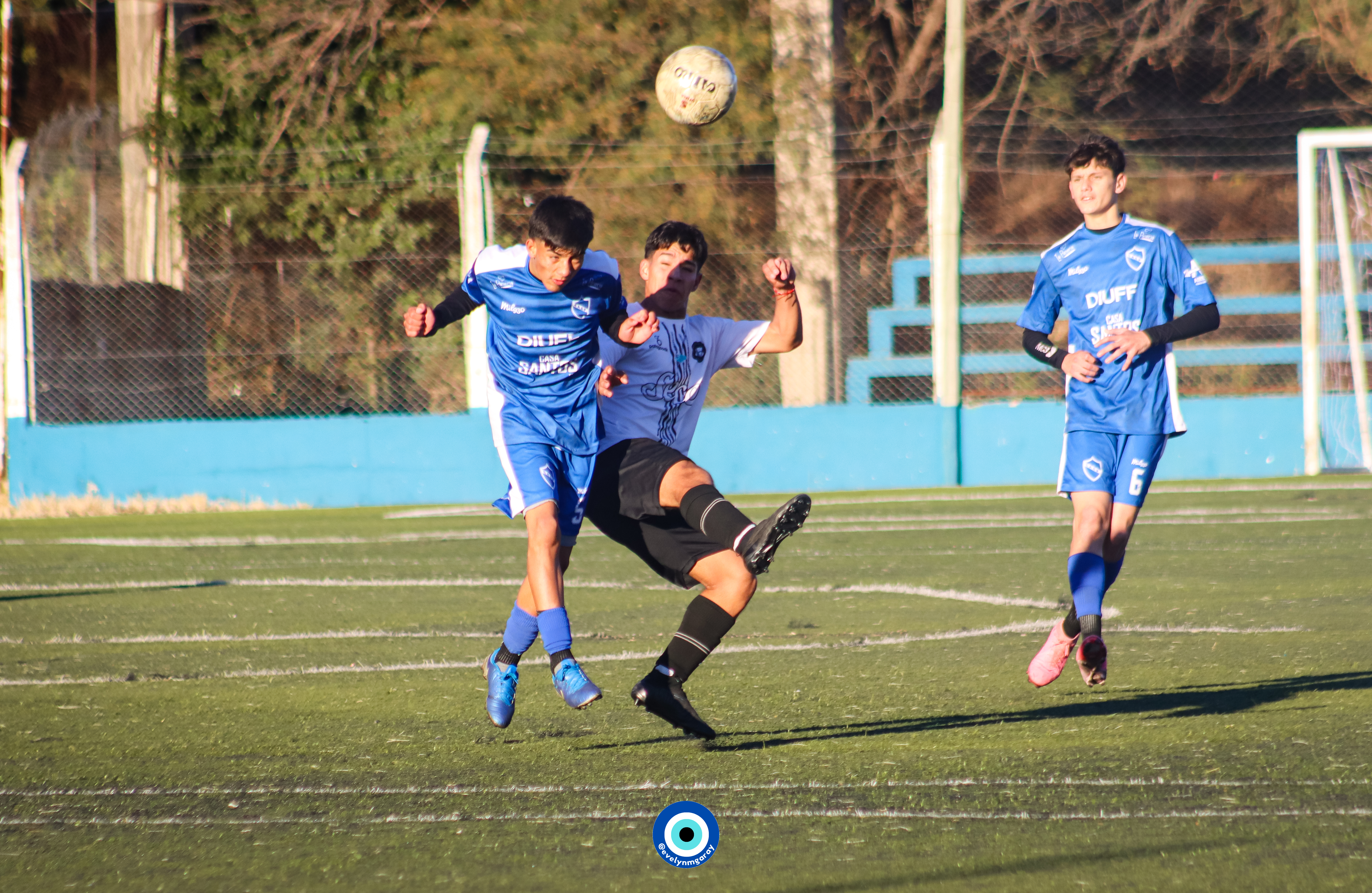Imagen 2